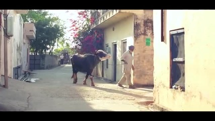 * Индийска * Rupinder Handa - Real Folk