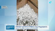 Описват щетите в Трявна след градушката