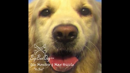 Giu Montijo & Max Hizzle - Hi Bro! (original Mix)