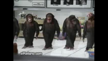 Танцуващи Маймуни