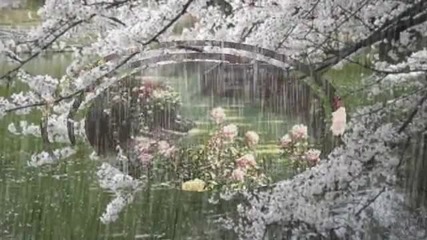 Rain_дъжд_