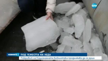 Новините на NOVA (04.02.2017 - централна емисия)