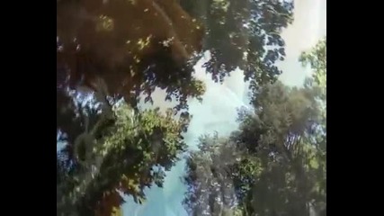 Stupid dog (original song) 