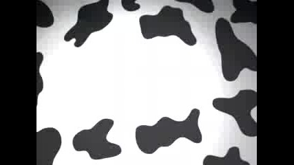 Cow Belles / Глезлите (2006)