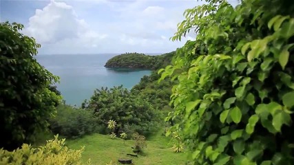 Красивата природа на Карибските острови
