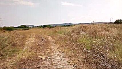 Vid_20230724_144606.3gp