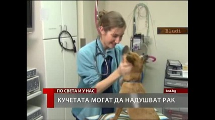 Кучетата откриват рака при хората