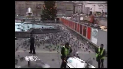 break - Birdman Confounds London City Workers 
