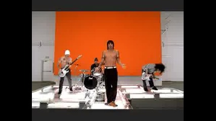Red Hot Chili Peppers - Cant Stop