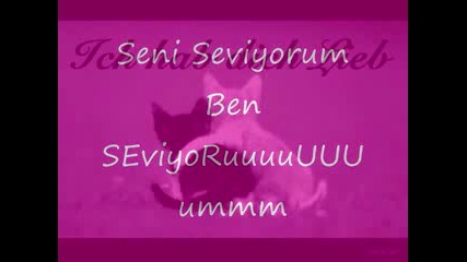 Sercan - Seni Seviyorum 