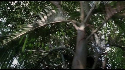 Kickboxer Bg Audio part 10 ( Кикбоксьор ) част 10 Бг Аудио Hd