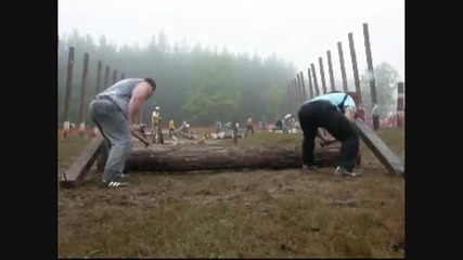 шампионат за дървосекачи