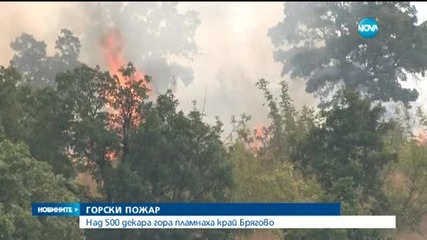 Овладян е пожарът, който гореше на метри от къщите в Брягово