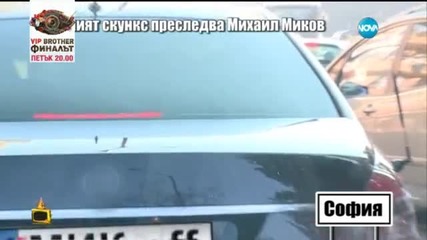 Михаил Миков видя "Златния скункс" и се скри в колата си