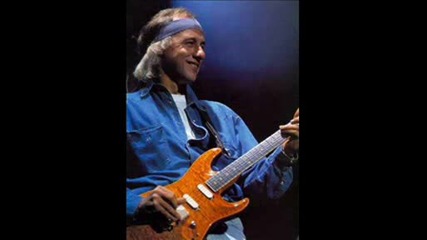 Dire straits Private investigations live 1992