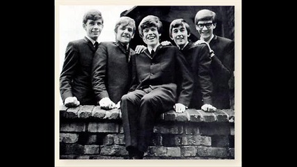 Herman's Hermits - I Understand ( Just How You Feel )