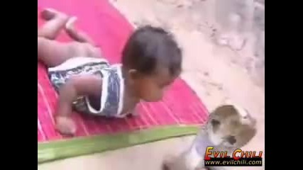 Невероятно - Кралска кобра срещу бебе 