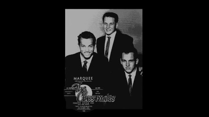 The Classmates - Pretty Little Pet