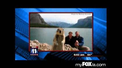 Kaтерица неволно попада в снимката на туристи - Fox News