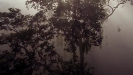 The Journey to The Nature