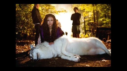 Dean Winchester and Nina Dobrev ( Elena , Katherine )