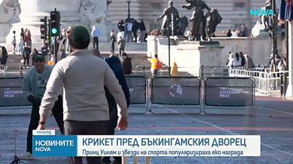 Принц Уилям спря движението пред Бъкингамския дворец за игра на крикет