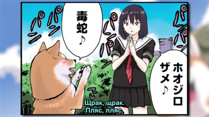【 Bg Sub 】 Sekai no Owari ni Shiba Inu to 48
