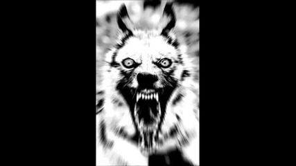 • Tech House • Ill Cows - Freestyle