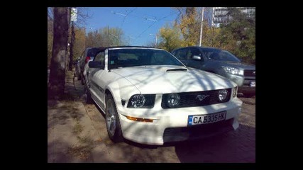 Готините Коли В София 4