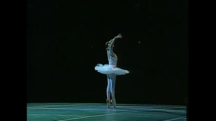 The Dying Swan (plisetskaya, Bolshoi 1992)