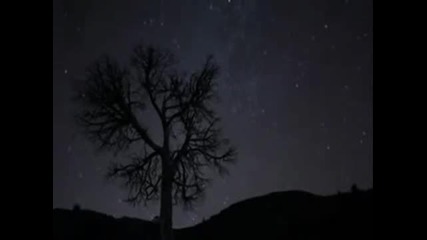 The Stevenson Ranch Davidians - Stargazer