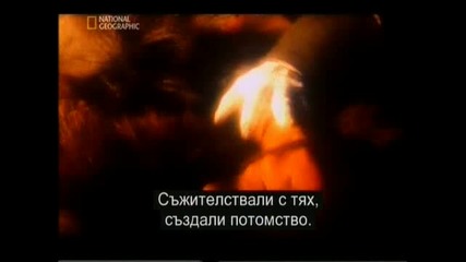 Is it real? - Древни астронавти - National Geographic + Bg subs 1/2 