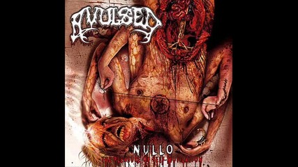 Avulsed - Breaking Hymens 