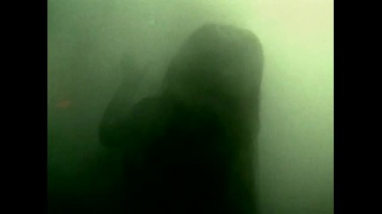 Seether - Remedy