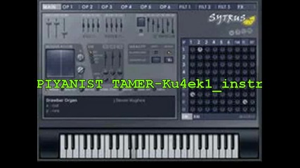 Piyanist Tamer-ku4ek1_instr (dj.roko)