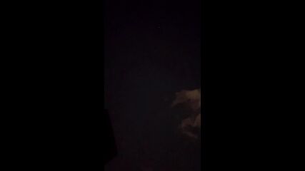 Старлинк в софийското небе