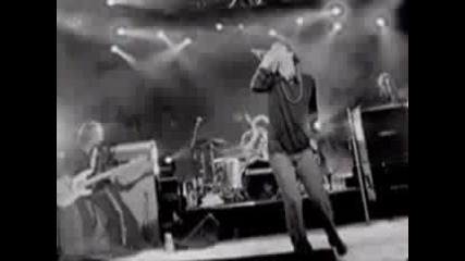 The Black Crowes - Cursed Diamond