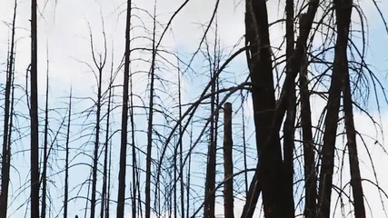 Jeremy Tenisch In Merritt