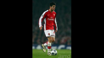 Fabregas4.wmv