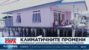 Промишлено замърсяване унищожава гора в Индонезия