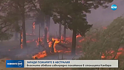 ПОЖАРИТЕ В АВСТРАЛИЯ: Обявиха извънредно положение в Канбера