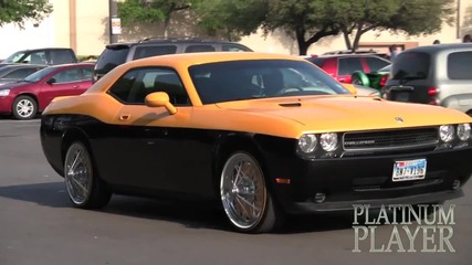 Black Yellow Dodge Challenger- Texas Relays 2011 Series