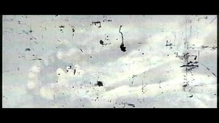 Dead Fish .flv