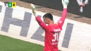 SV Werder Bremen vs. Borussia Dortmund - Game Highlights