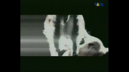 Kosheen - Hungry 