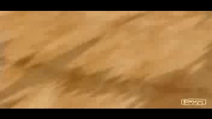 amv gaara vs kimimaro