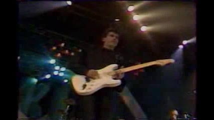 Black -Everythings coming up roses (live)