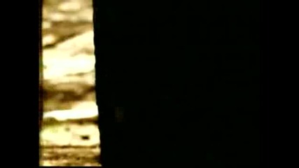 Roxette - Anyone
