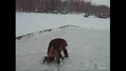 Куче изнасилва малко момче смях