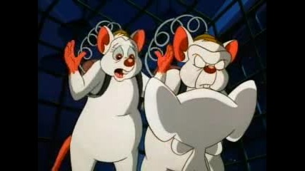Pinky and the Brain,ep. 13